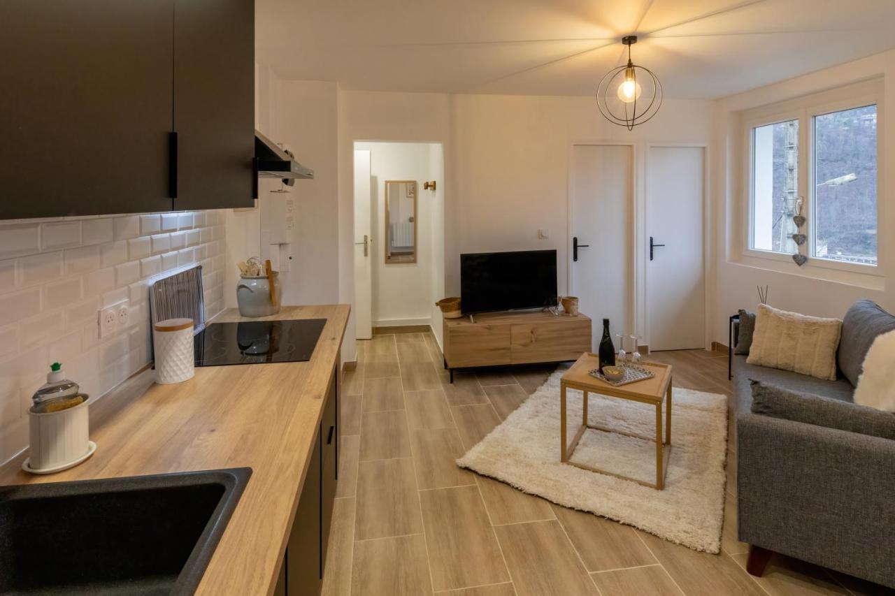 Les Appartements De Clelia Ax-les-Thermes Extérieur photo
